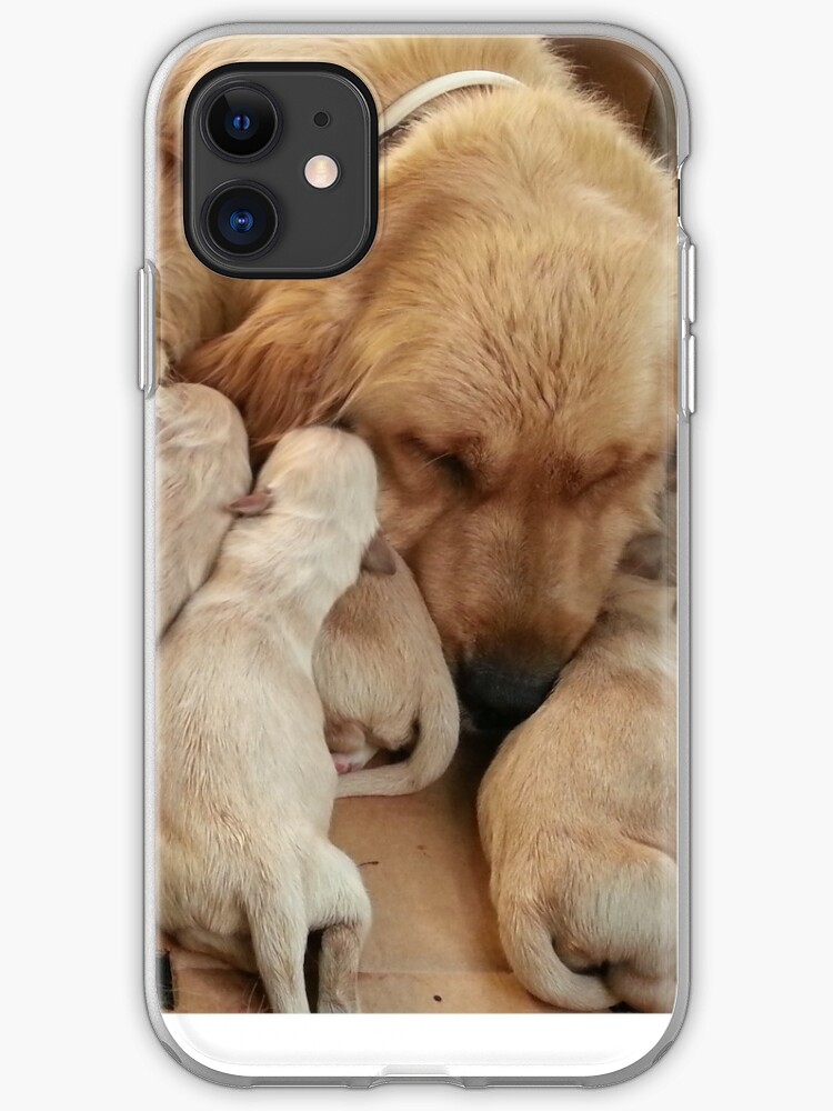 Golden Retriever Mum Pups Iphone Case Cover By Oughtwo