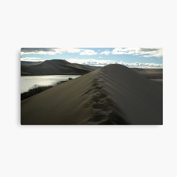 Traversing the tallest Dune Metal Print