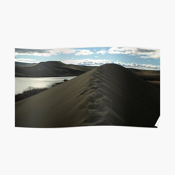 Traversing the tallest Dune Poster