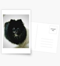 Pomerania Postcards