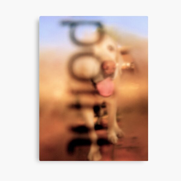Doggy I get the Point Canvas Print