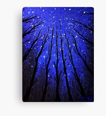 Star Gazer Canvas Print