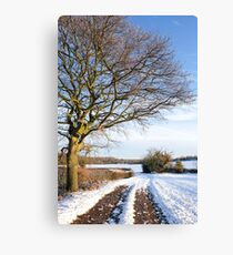 lone winter tree Canvas Print