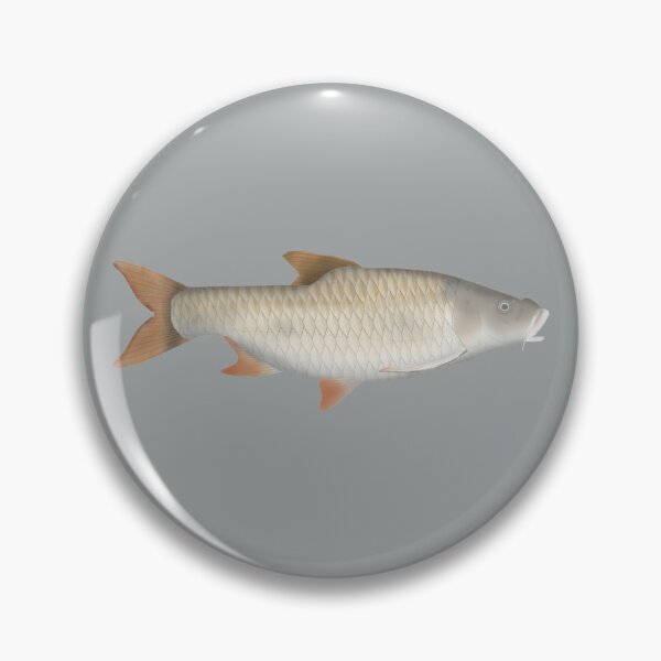 Item preview, True big-scale tetra designed and sold by fishfolkart.