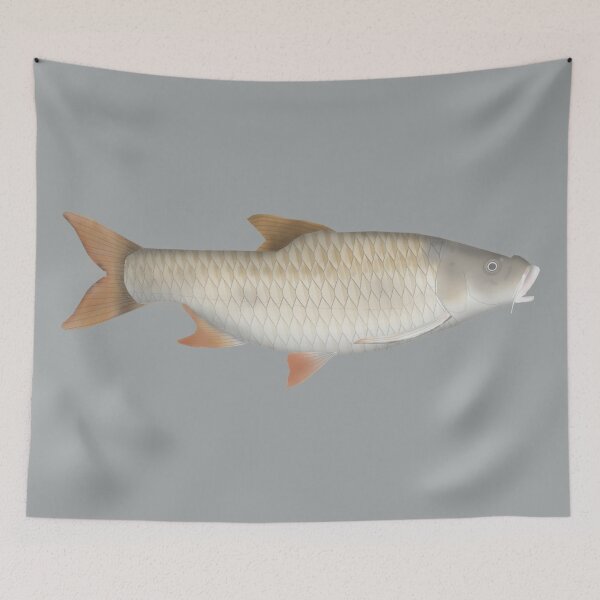 Item preview, True big-scale tetra designed and sold by fishfolkart.