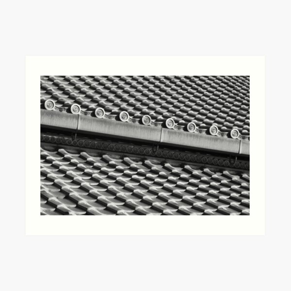 Roof Tiles Art Print