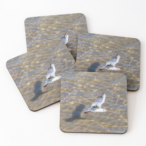 Item preview, A Black Headed Gull In Flight designed and sold by Tanya C  Smith.