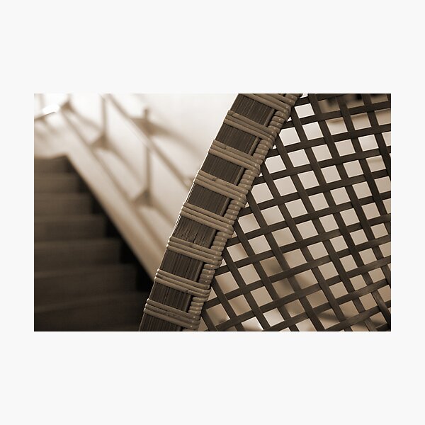 Bamboo Curve Photographic Print