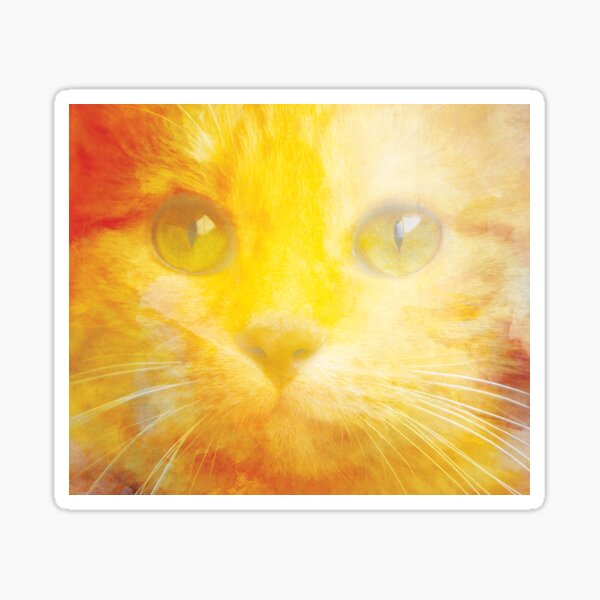 Watercolor Kitty - Orange Trippy Cat Design Sticker