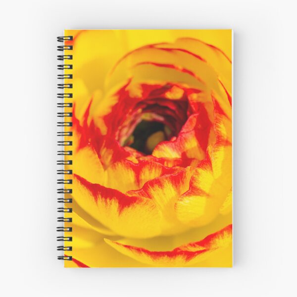 Item preview, Ranunculus Flower designed and sold by Tanya C  Smith.