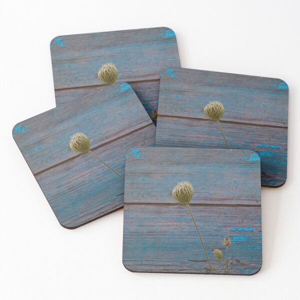 Item preview, Flora and urban exploration designed and sold by iam01110011.