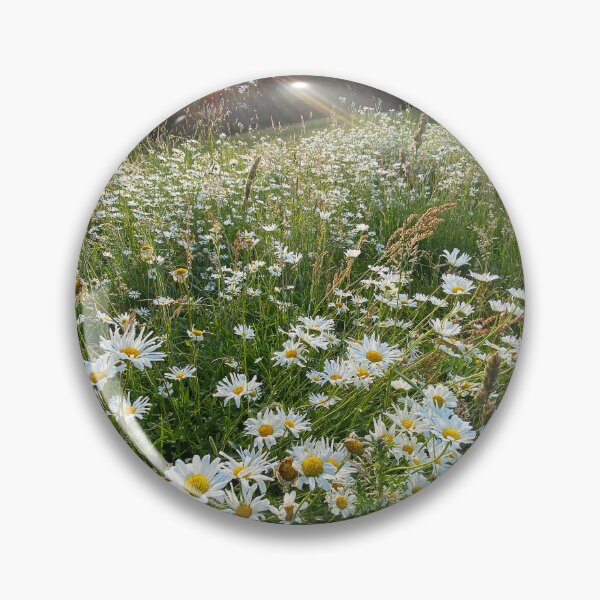Item preview, Oxeye Daisies designed and sold by Paddyb17.
