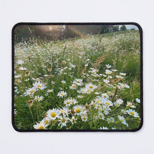 Item preview, Oxeye Daisies designed and sold by Paddyb17.