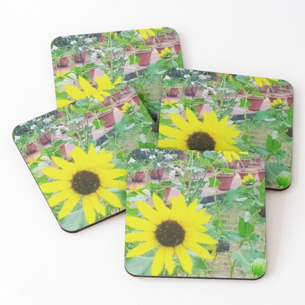 Artikelvorschau, Sonnenblume mit Topf entworfen und verkauft von Saiamrita123.