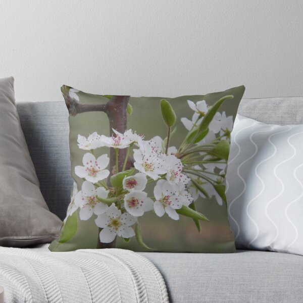 Item preview, The Lyrics of Spring - Mexican Plum? designed and sold by Navigator.