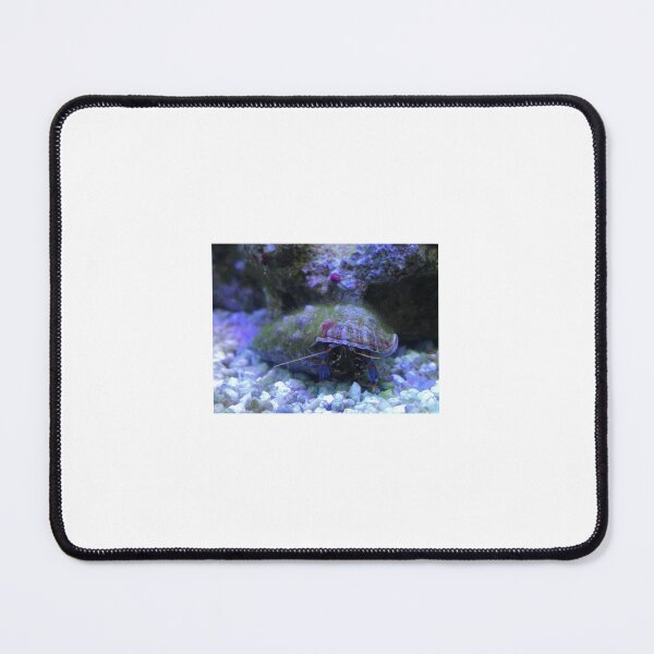 Item preview, blue leg hermit crab designed and sold by 0allthing.