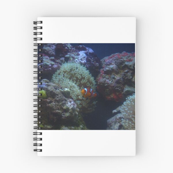 Item preview, clown fish and green bubble  designed and sold by 0allthing.
