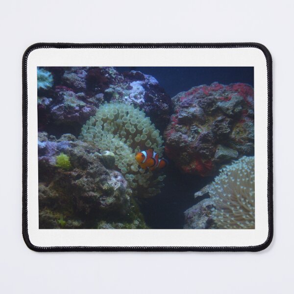 Item preview, clown fish and green bubble  designed and sold by 0allthing.
