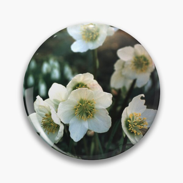 Item preview, spring rose designed and sold by Gourmetkater.