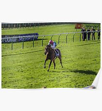 Legendary Racehorse Frankel Poster