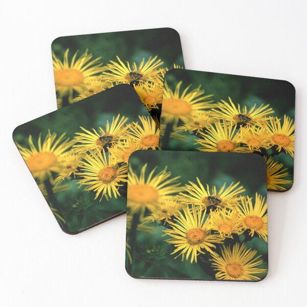 Item preview, elecampane designed and sold by Gourmetkater.