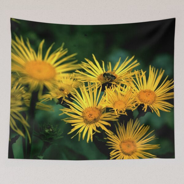 Item preview, elecampane designed and sold by Gourmetkater.