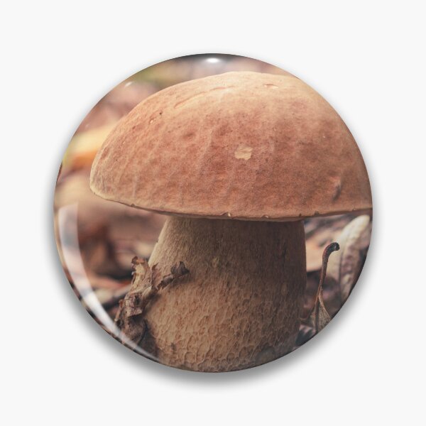 Item preview, Boletus edulis or cep, edible wild mushroom in a forest designed and sold by SvarunPogani.
