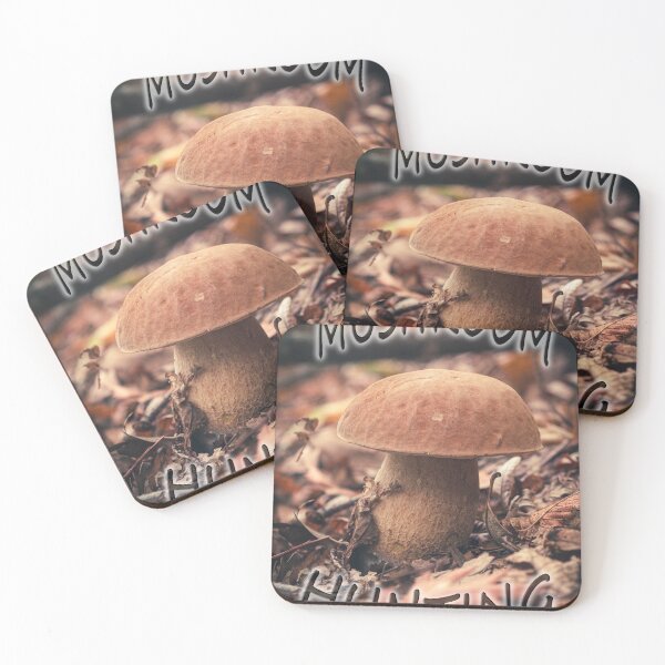 Item preview, Boletus edulis or cep, edible wild mushroom in a forest designed and sold by SvarunPogani.