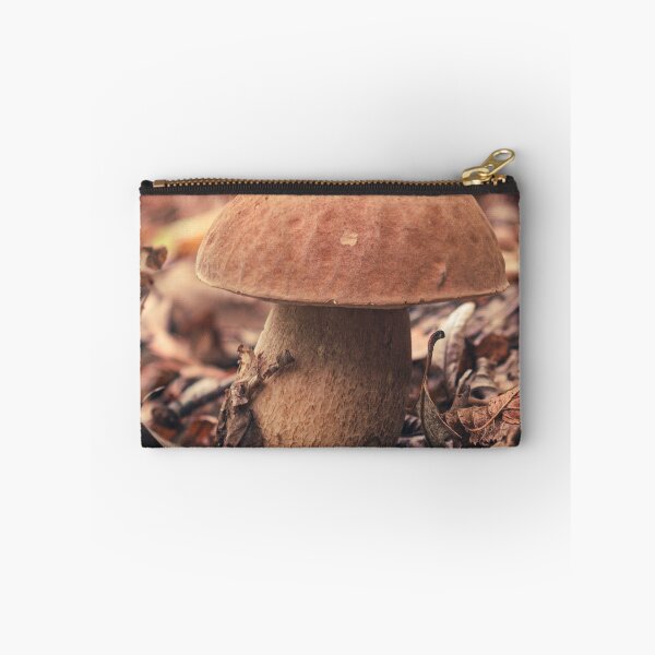 Item preview, Boletus edulis or cep, edible wild mushroom in a forest designed and sold by SvarunPogani.