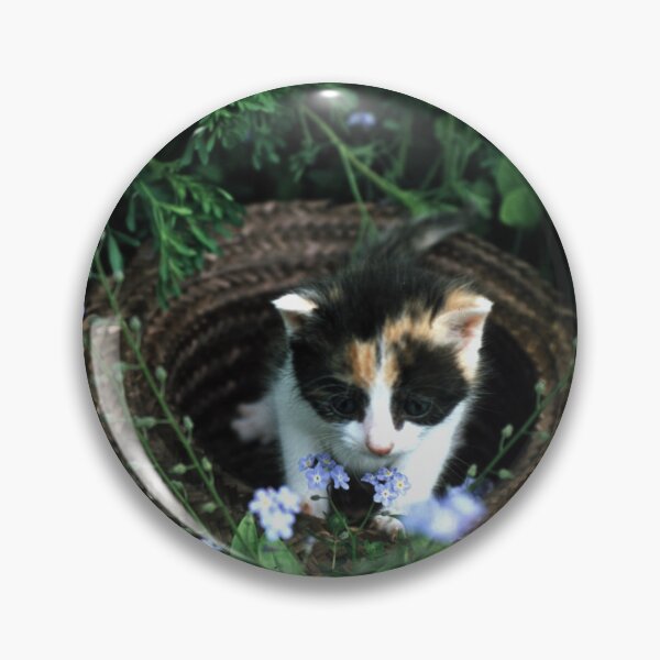 Item preview, Little cat Amy designed and sold by Gourmetkater.