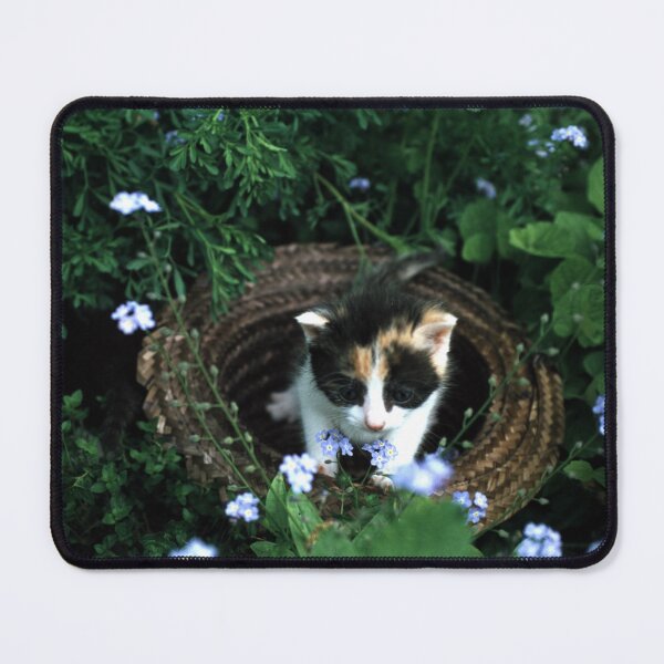 Item preview, Little cat Amy designed and sold by Gourmetkater.