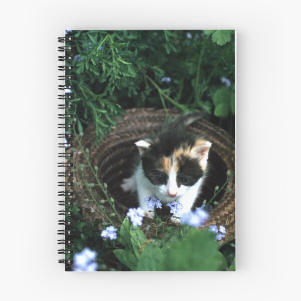 Item preview, Little cat Amy designed and sold by Gourmetkater.