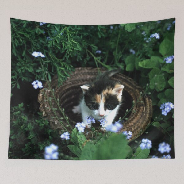 Item preview, Little cat Amy designed and sold by Gourmetkater.