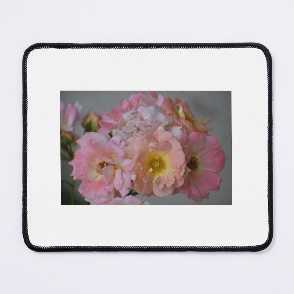 Item preview, Popcorn roses designed and sold by farmacistfotos.