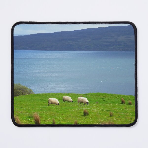 Item preview, 3 sheeps designed and sold by Kleidermacher.