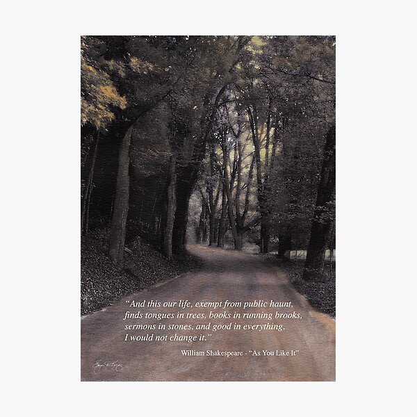 Shakespeare Quote Poster Photographic Print
