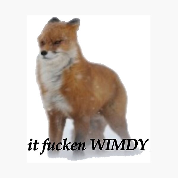 Item preview, it fucken WIMDY fox designed and sold by AlfaNoraStore.
