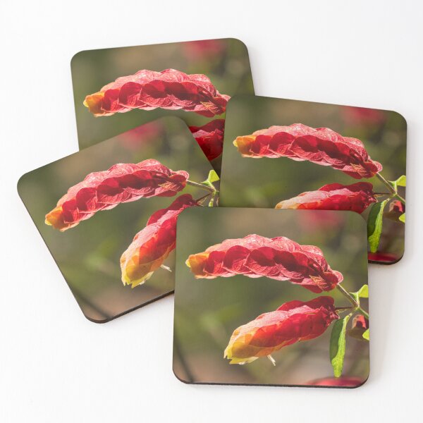 Item preview, Mexican Shrimp Plant designed and sold by TinyDinoDesigns.