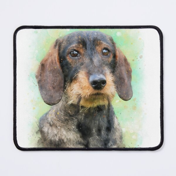 Item preview, Dachshund watercolor designed and sold by PetsArt.