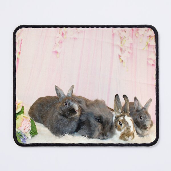 Item preview, Sanctuary Rabbits designed and sold by HagridsBuntique.