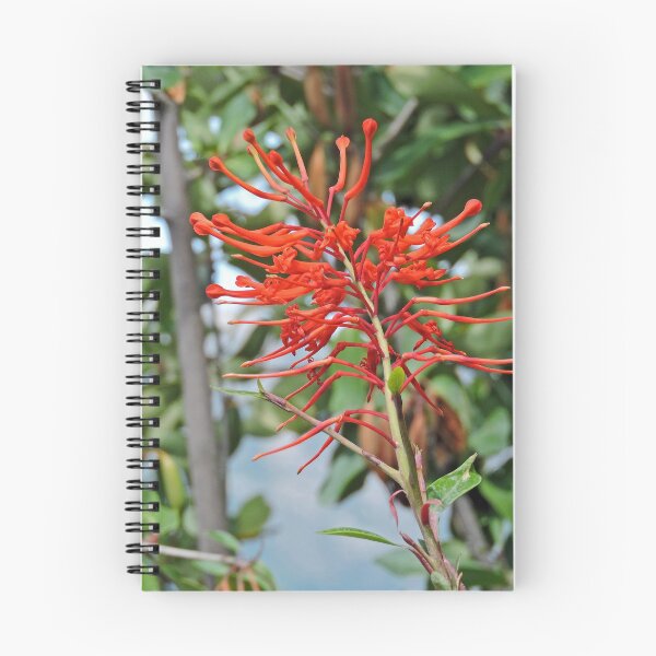 Item preview, Chilean Firetree designed and sold by Graeme  Hyde.