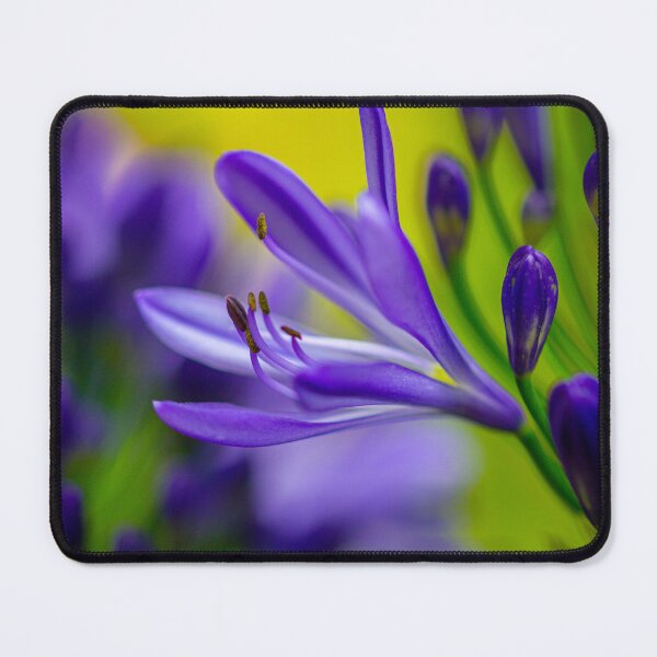 Item preview, Purple African lily flower designed and sold by marcrolandscape.