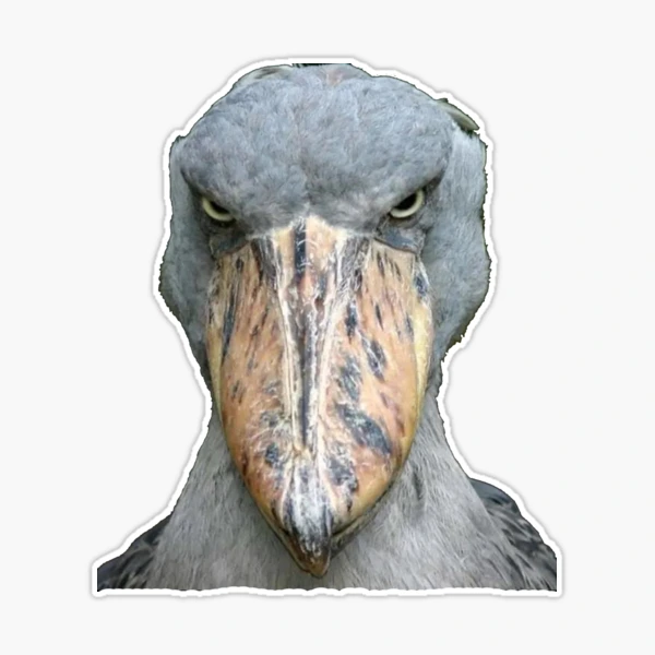 Shoebill Bird Stickers by Mind Wave