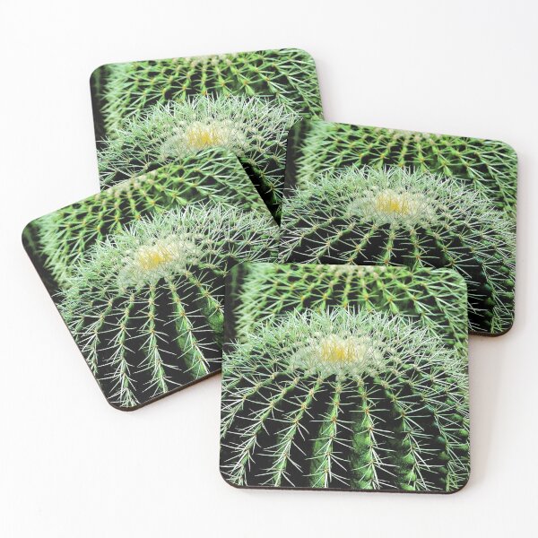 Item preview, Golden Barrel Cactus designed and sold by Bunmigraphics .