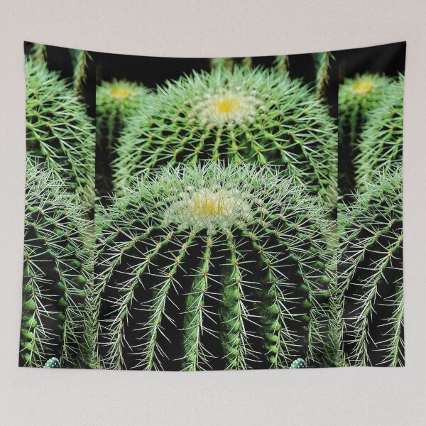 Item preview, Golden Barrel Cactus designed and sold by Bunmigraphics .
