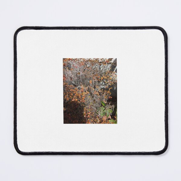 Item preview, Icicles on the trees designed and sold by compugraphd.