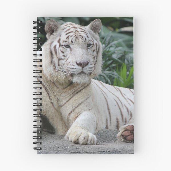 Item preview, White Tiger 4 designed and sold by LeanneAllen.
