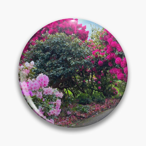 Item preview, Azaleas and Rhododendrons in the gardens of Kenwood Park, N London designed and sold by Paddyb17.