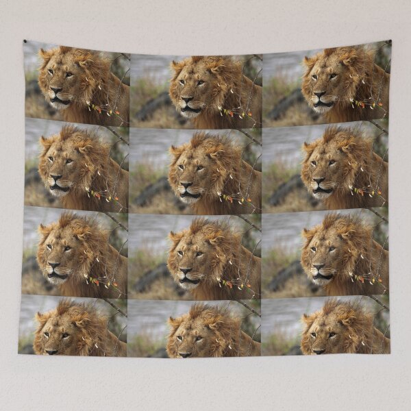 Item preview, Cat: Large Male Lion Looking Intently as He Comes Out of the Bush, Maasai Mara, Kenya  designed and sold by Carole-Anne.