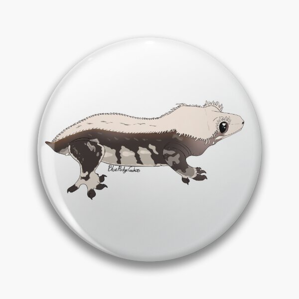 Artikelvorschau, Harlekin-Nadelstreifen-Crestie entworfen und verkauft von BlueRidgeGeckos.